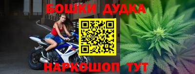 сатива Будённовск