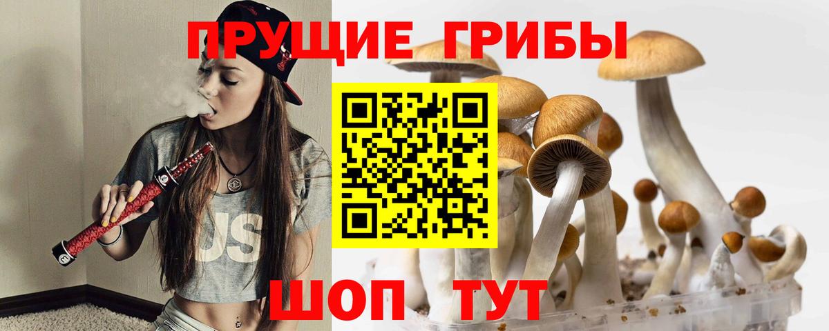 Псилоцибиновые грибы мухоморы  Вход с VPN  Славгород 